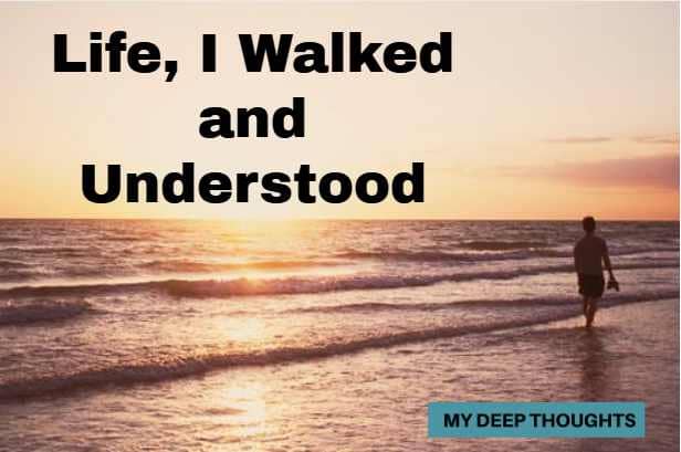 Life, I Walked and Understood